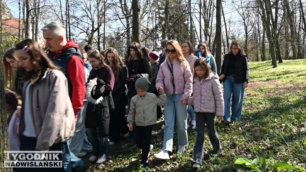 Droga Krzyżowa w parku dzikowskim