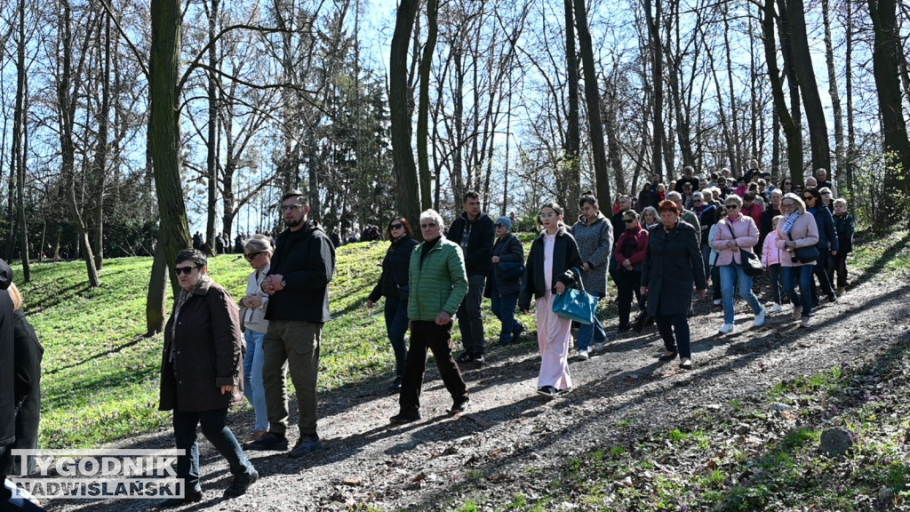 Droga Krzyżowa w parku dzikowskim