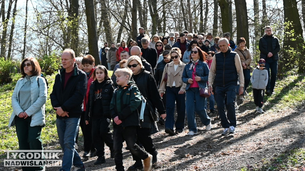 Droga Krzyżowa w parku dzikowskim