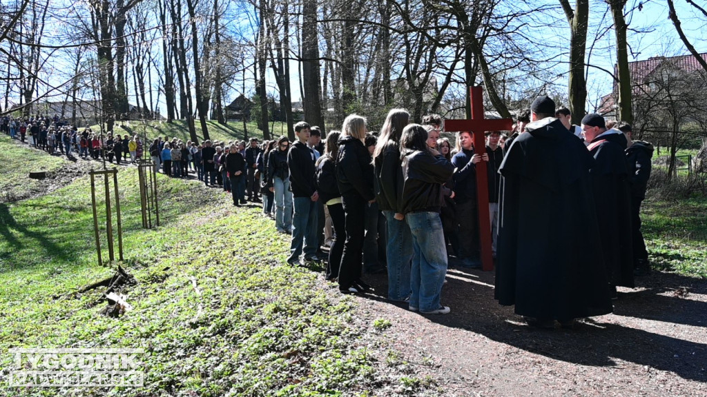 Droga Krzyżowa w parku dzikowskim