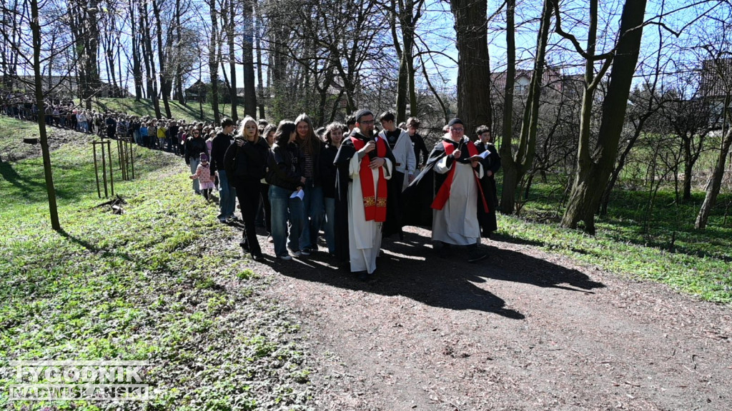 Droga Krzyżowa w parku dzikowskim