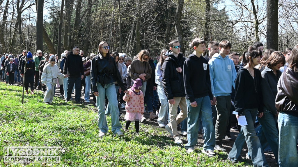 Droga Krzyżowa w parku dzikowskim