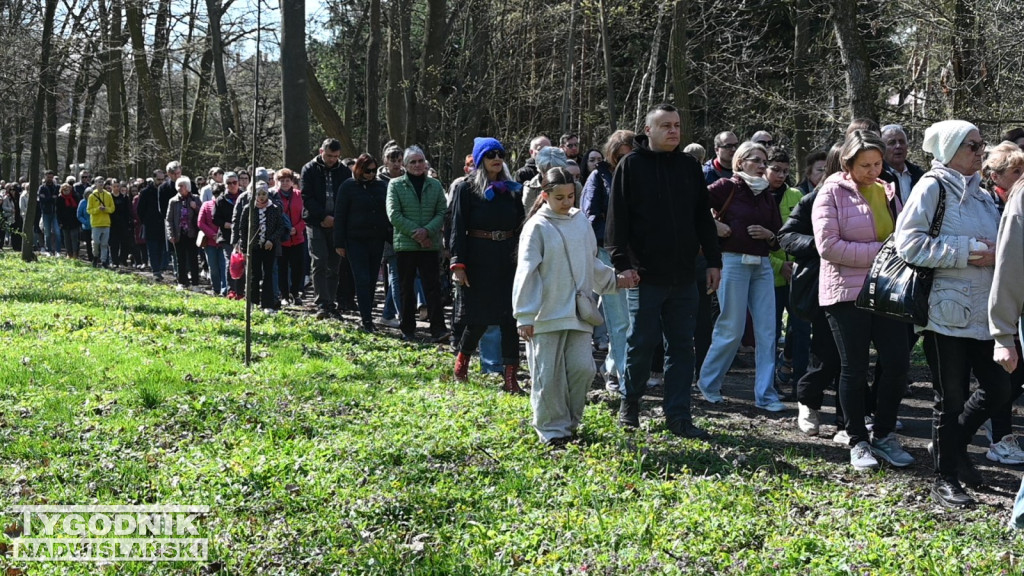 Droga Krzyżowa w parku dzikowskim