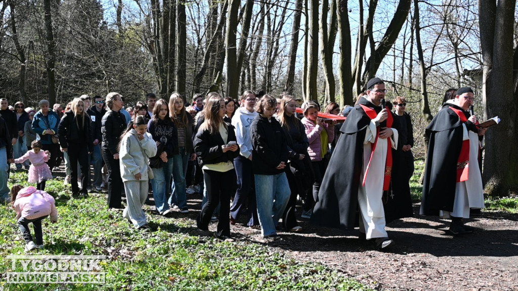 Droga Krzyżowa w parku dzikowskim