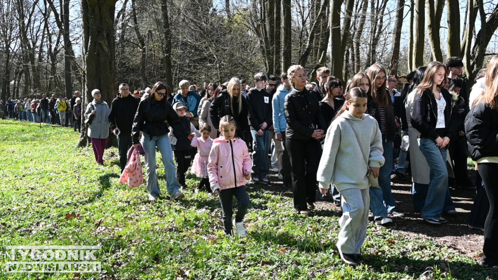 Droga Krzyżowa w parku dzikowskim