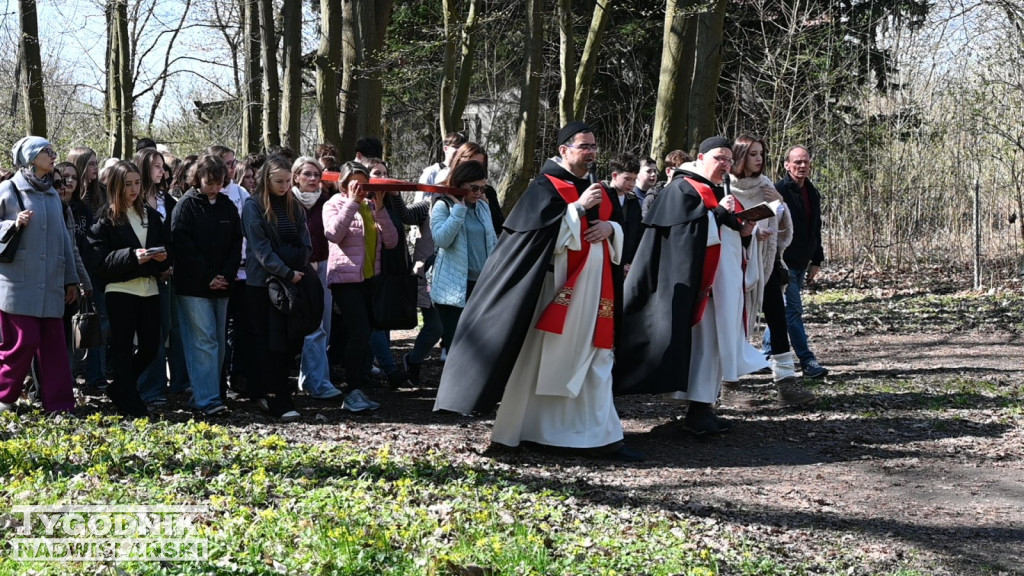 Droga Krzyżowa w parku dzikowskim