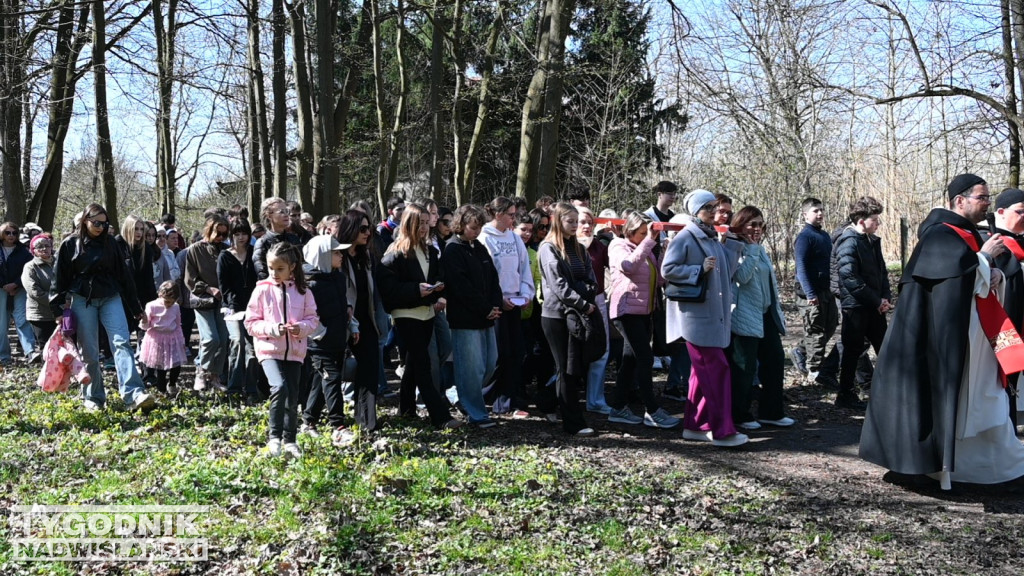 Droga Krzyżowa w parku dzikowskim