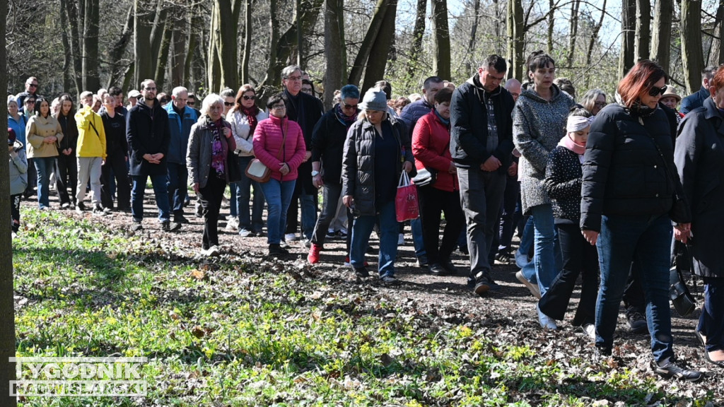 Droga Krzyżowa w parku dzikowskim