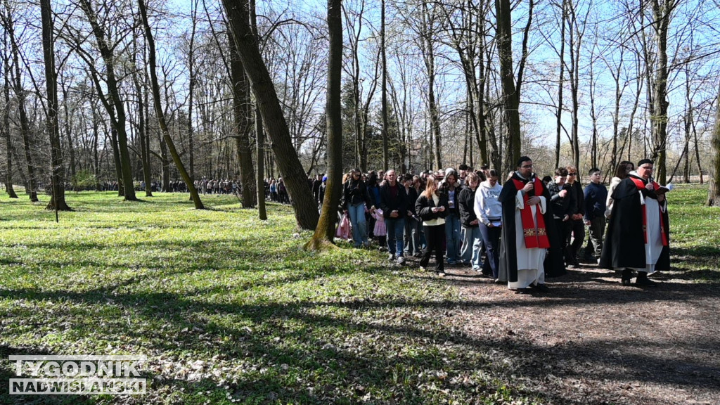 Droga Krzyżowa w parku dzikowskim