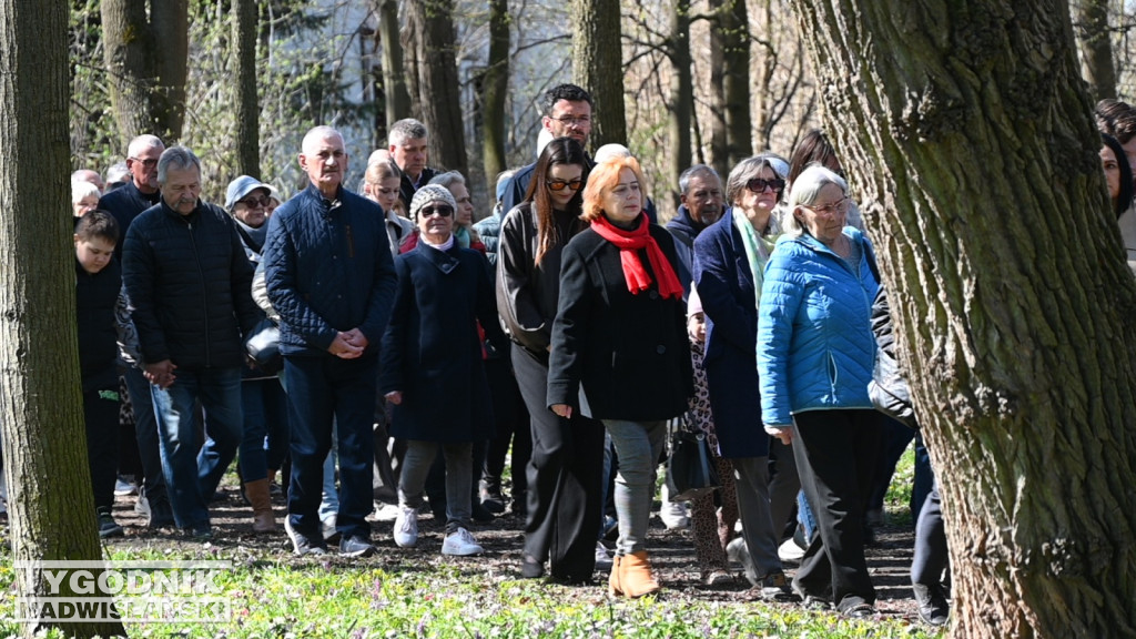 Droga Krzyżowa w parku dzikowskim
