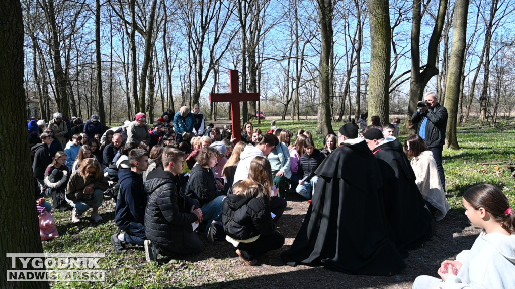 Droga Krzyżowa w parku dzikowskim