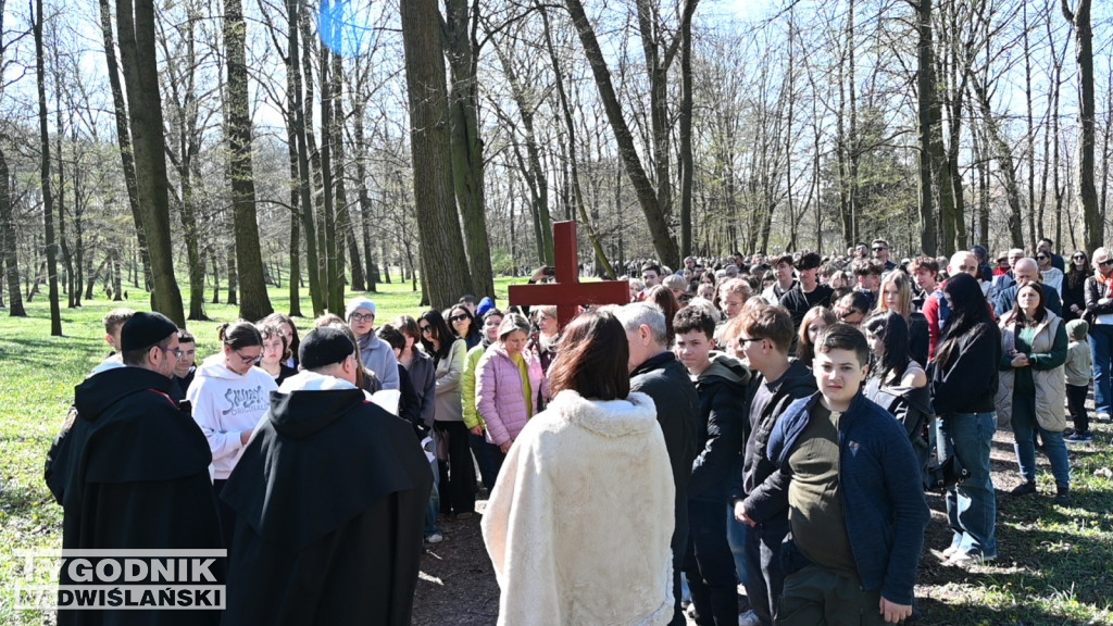 Droga Krzyżowa w parku dzikowskim