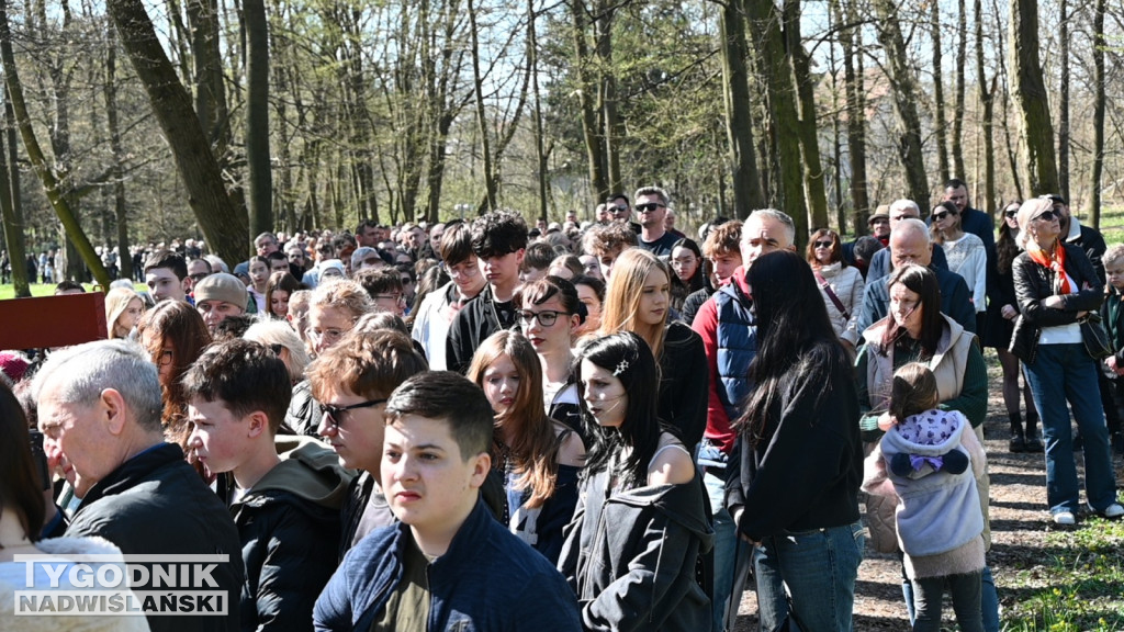 Droga Krzyżowa w parku dzikowskim