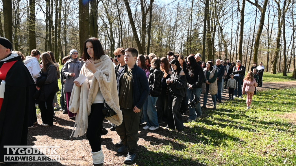 Droga Krzyżowa w parku dzikowskim