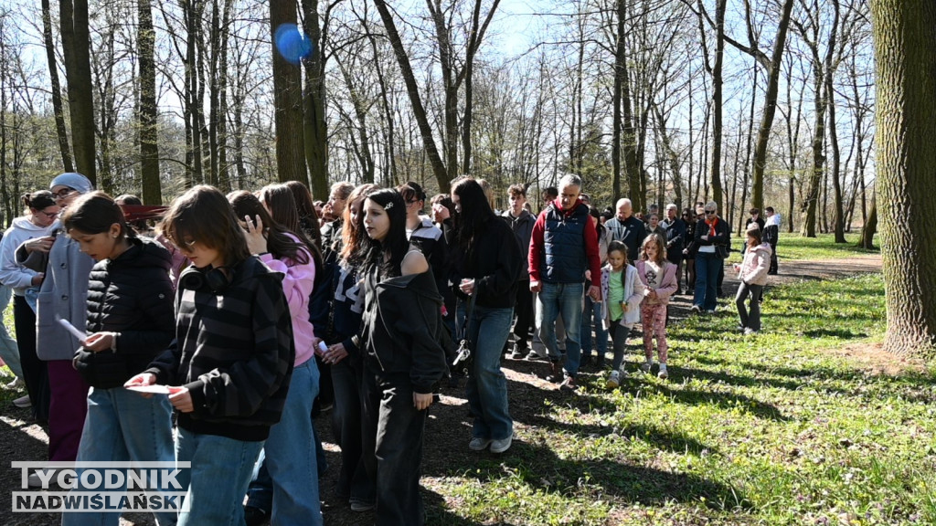 Droga Krzyżowa w parku dzikowskim