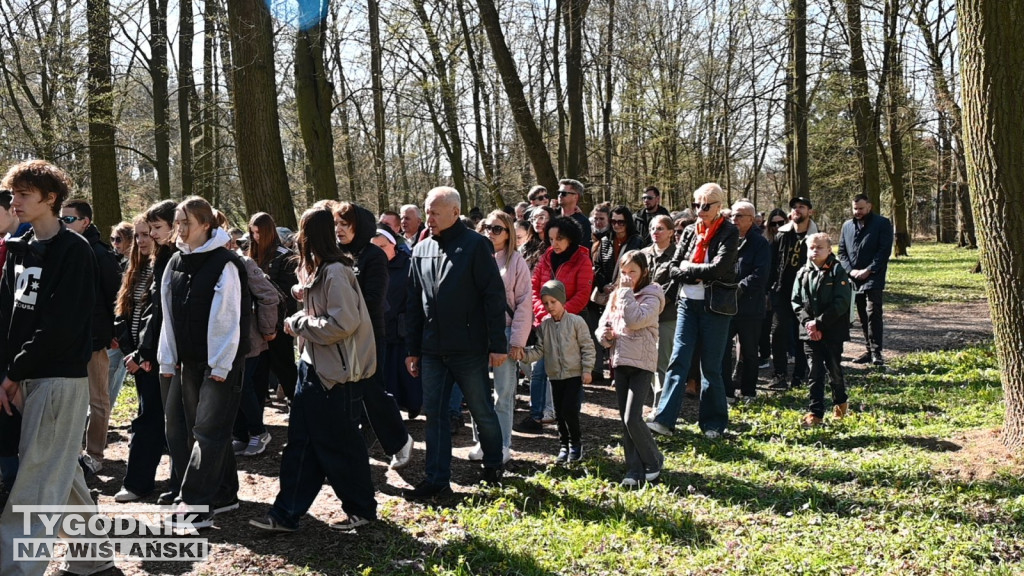 Droga Krzyżowa w parku dzikowskim
