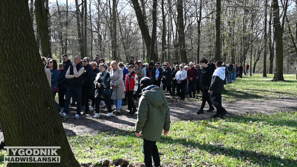 Droga Krzyżowa w parku dzikowskim