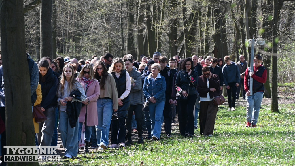 Droga Krzyżowa w parku dzikowskim