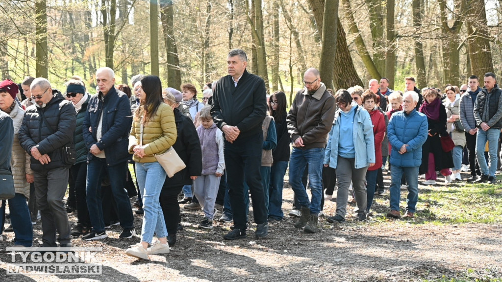 Droga Krzyżowa w parku dzikowskim