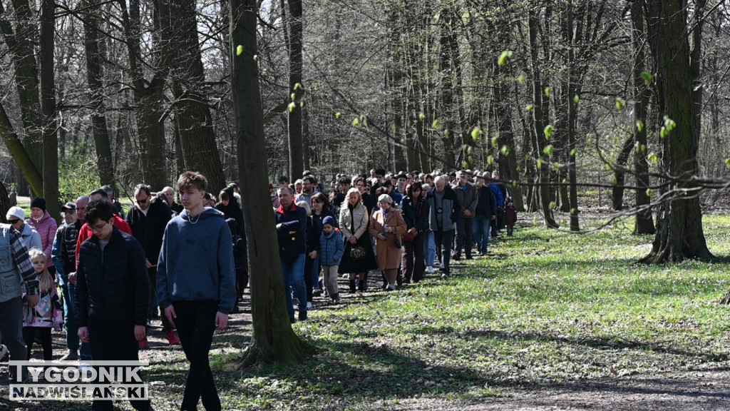 Droga Krzyżowa w parku dzikowskim
