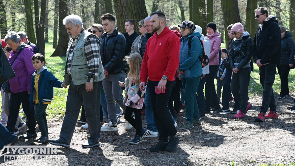 Droga Krzyżowa w parku dzikowskim