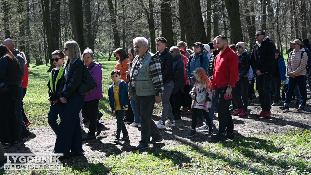 Droga Krzyżowa w parku dzikowskim