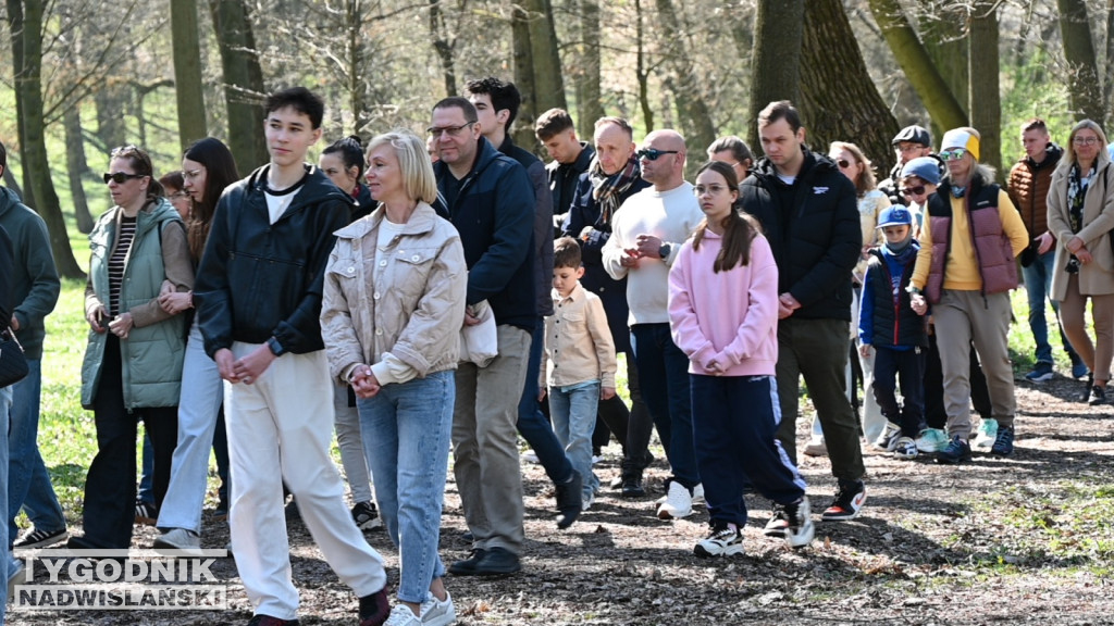 Droga Krzyżowa w parku dzikowskim