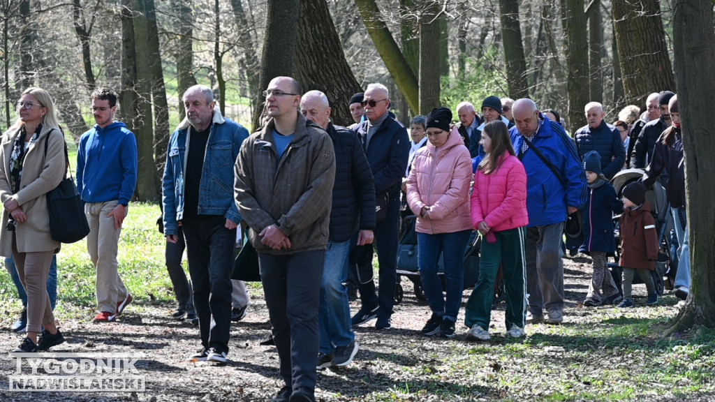 Droga Krzyżowa w parku dzikowskim
