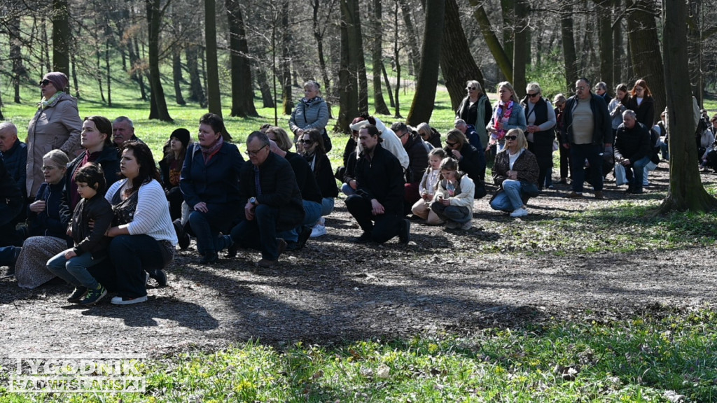 Droga Krzyżowa w parku dzikowskim