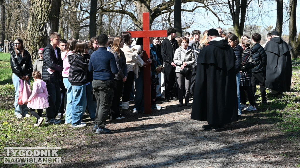 Droga Krzyżowa w parku dzikowskim