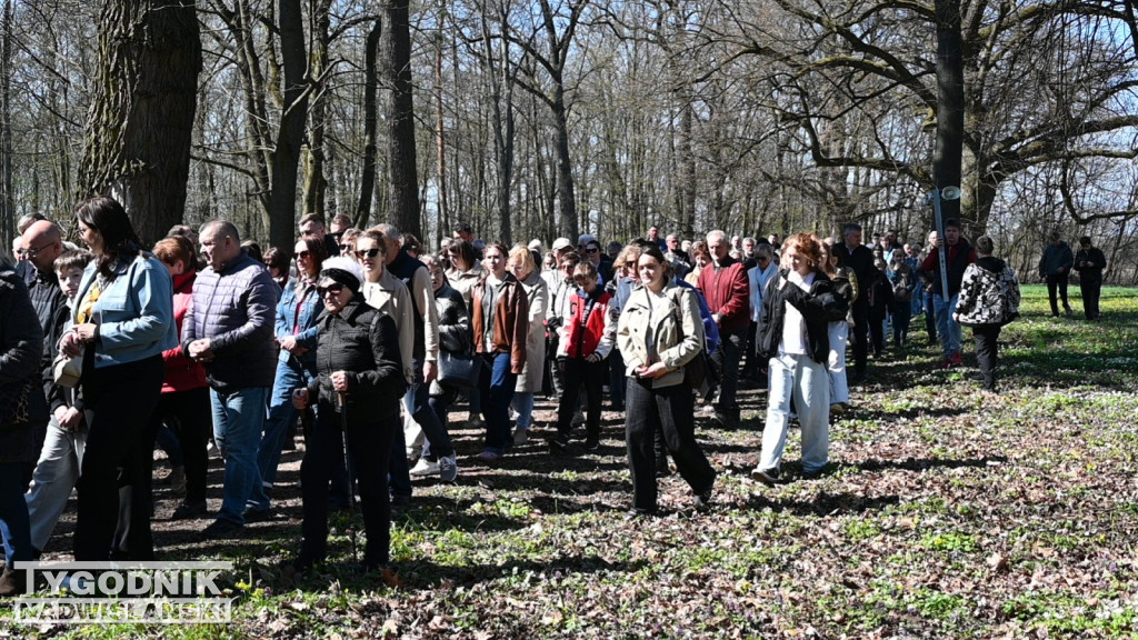 Droga Krzyżowa w parku dzikowskim