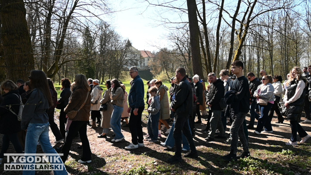 Droga Krzyżowa w parku dzikowskim