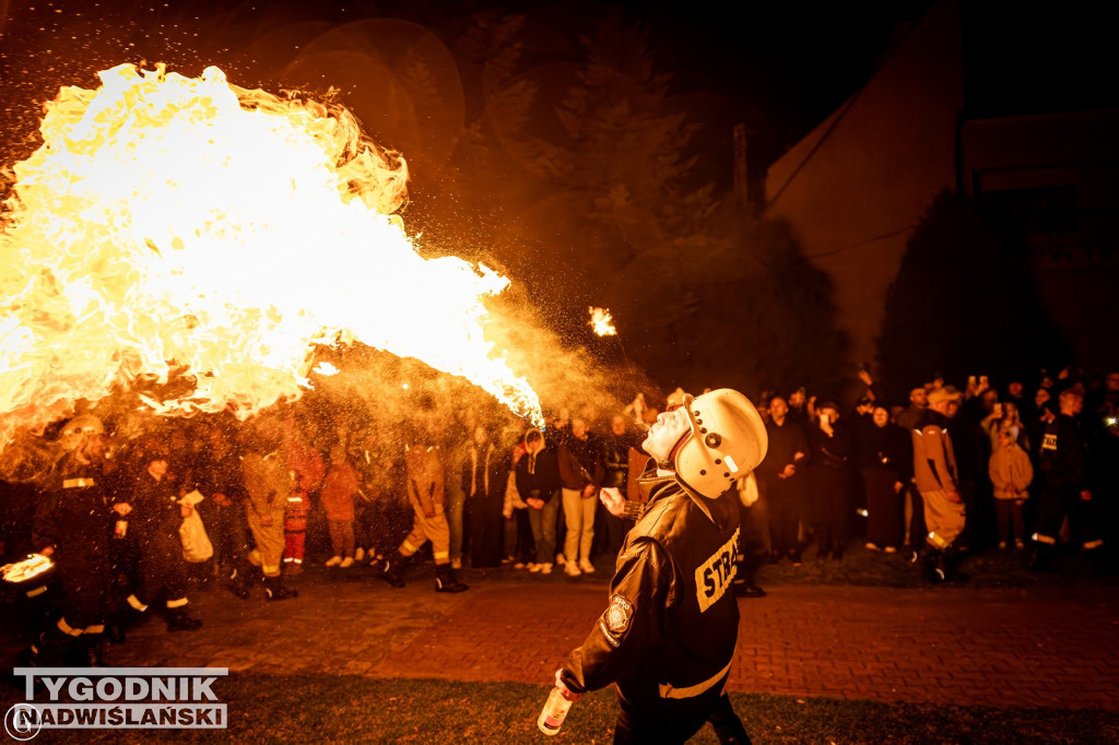 Bziuki 2026 w Koprzywnicy