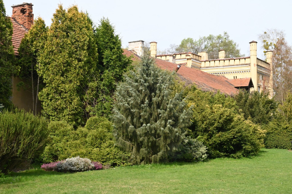 Wizualizacje Kuchni Dworskiej w Tarnobrzegu
