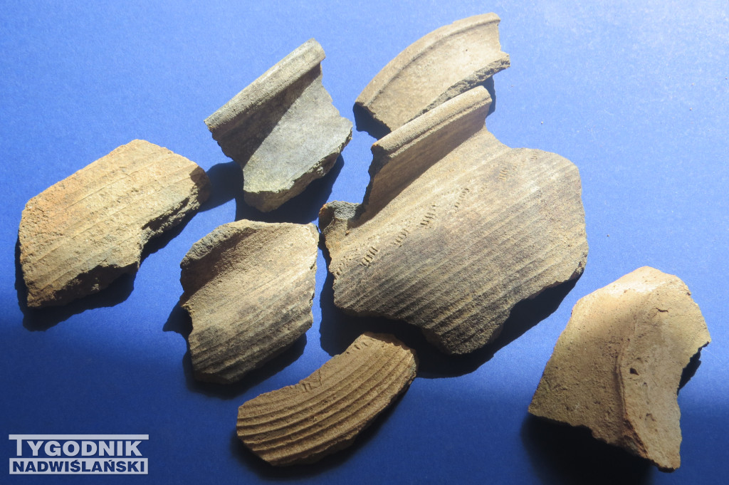 Odkrycie archeologiczne w Gierlachowie