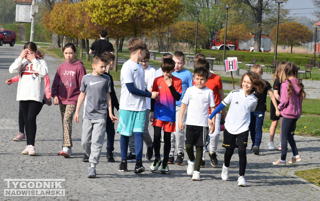 Bieg Dobra w Sandomierzu