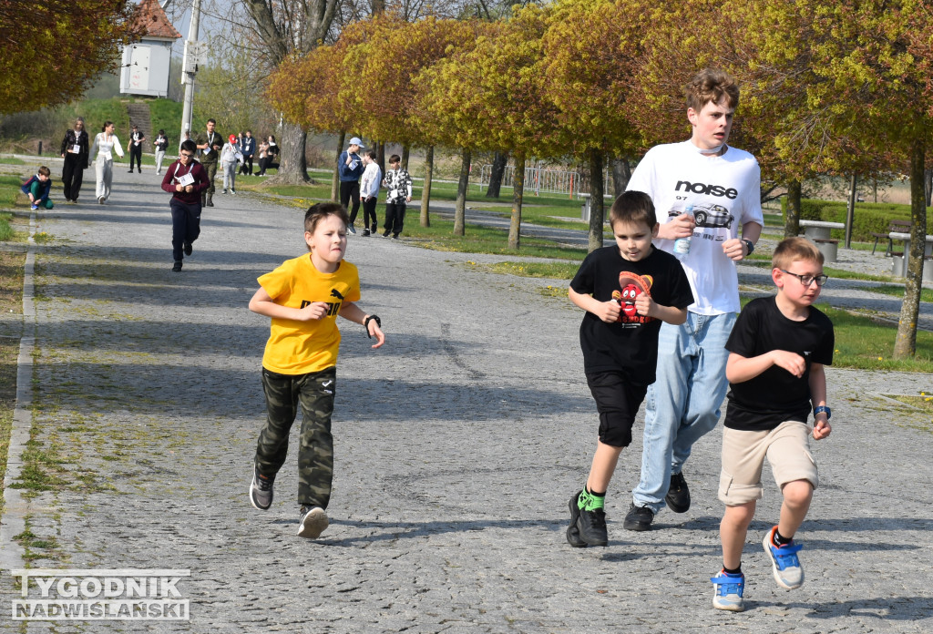 Bieg Dobra w Sandomierzu