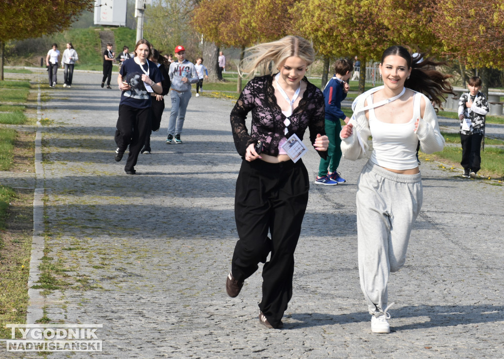 Bieg Dobra w Sandomierzu