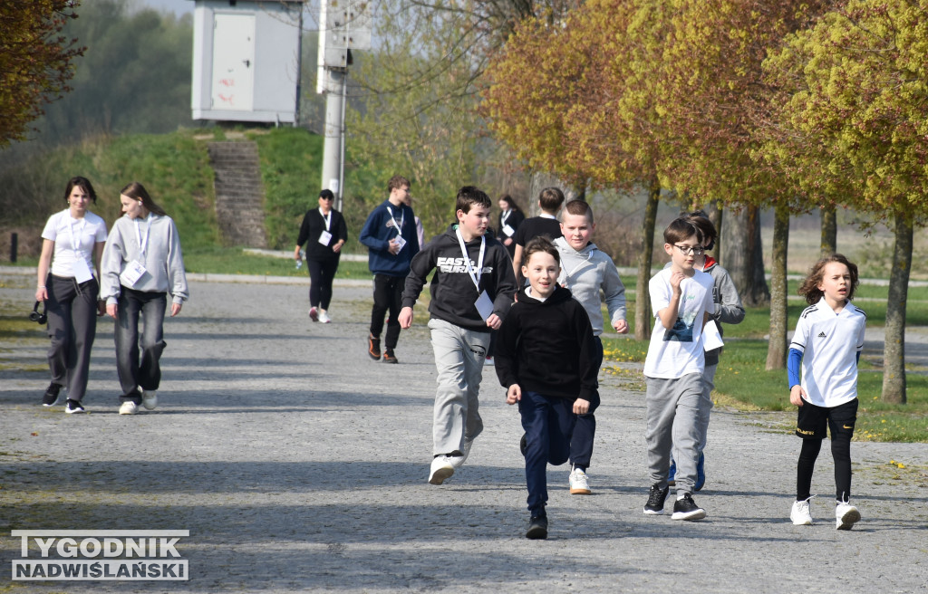 Bieg Dobra w Sandomierzu