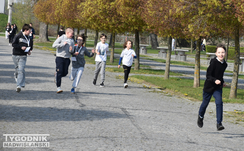 Bieg Dobra w Sandomierzu