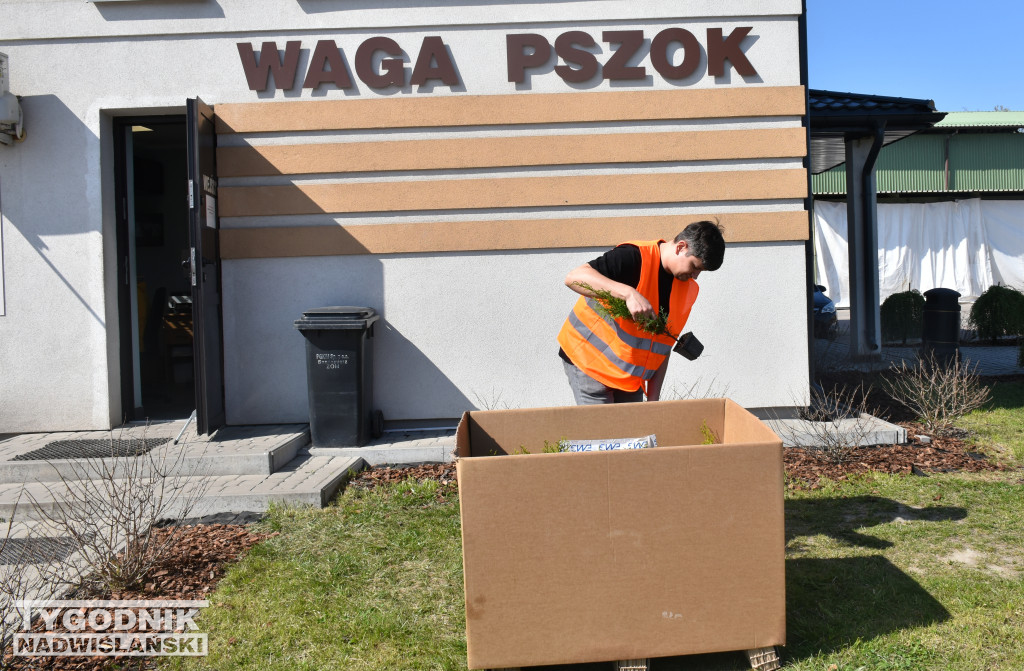 Akcja „Wspólnie sprzątaMY Sandomierz”