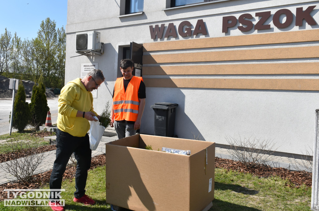 Akcja „Wspólnie sprzątaMY Sandomierz”