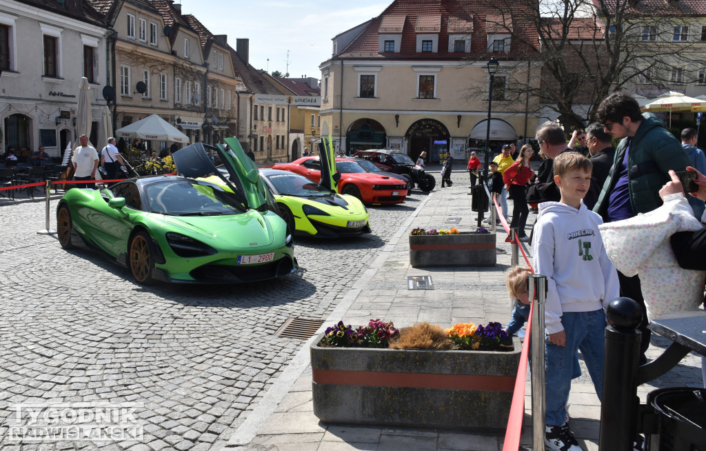 Piknik charytatywno-motoryzacyjny w Sandomierzu