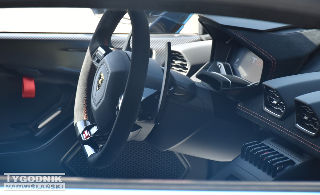 Piknik charytatywno-motoryzacyjny w Sandomierzu