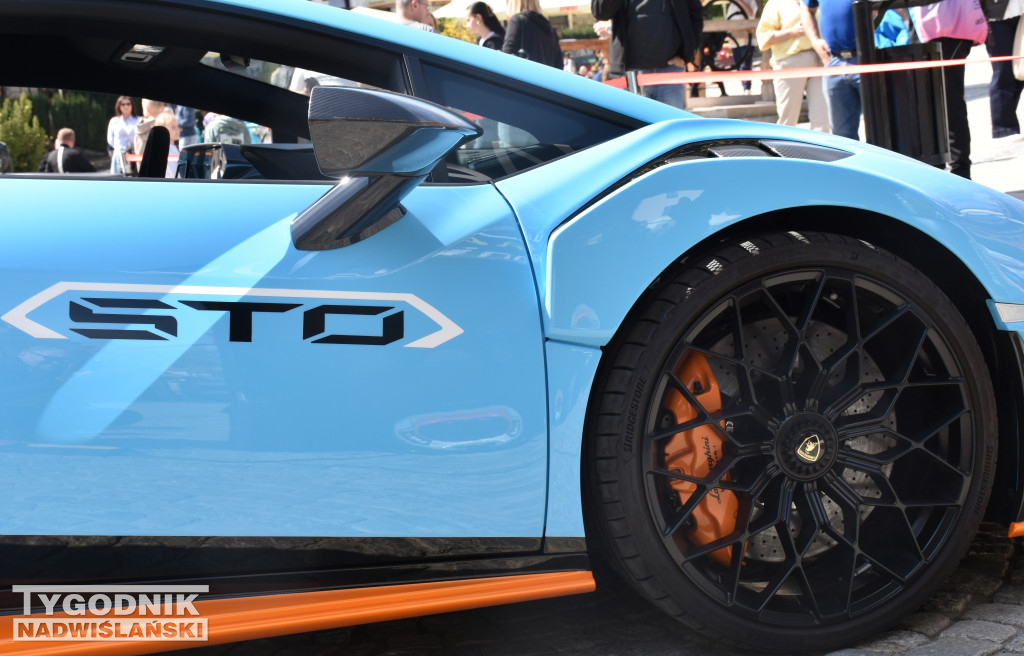 Piknik charytatywno-motoryzacyjny w Sandomierzu