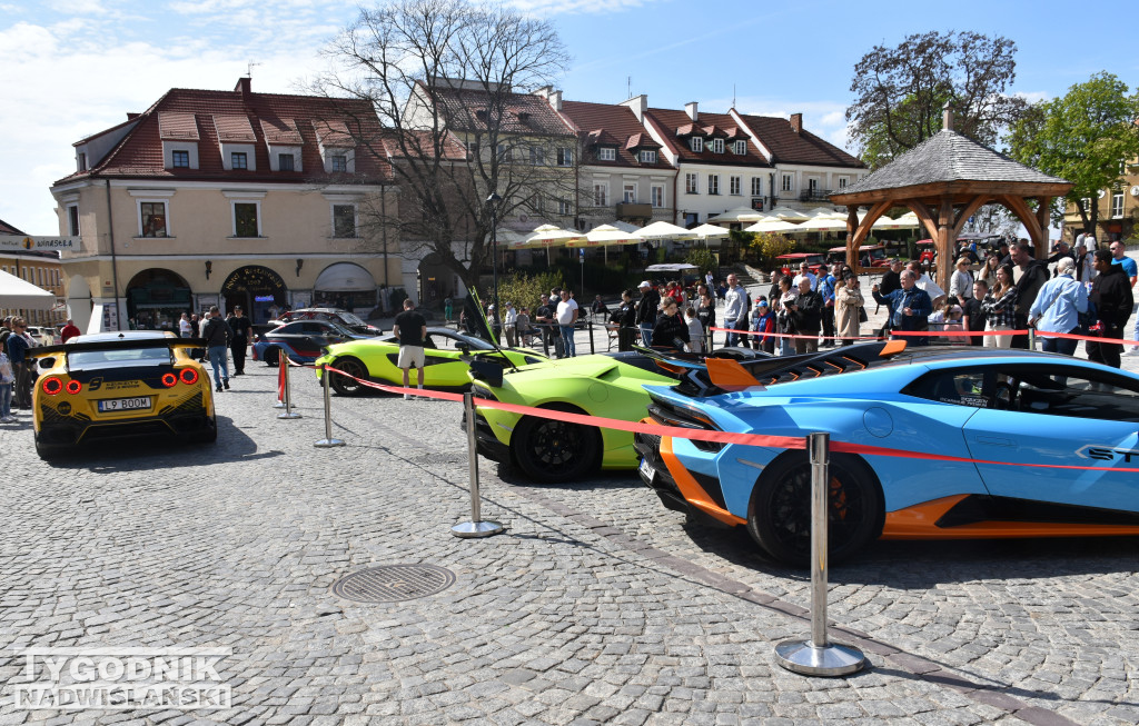 Piknik charytatywno-motoryzacyjny w Sandomierzu