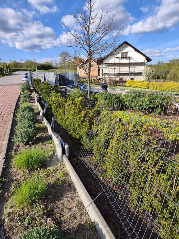 Dachowanie w Ruszczy