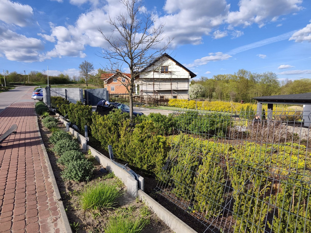 Dachowanie w Ruszczy