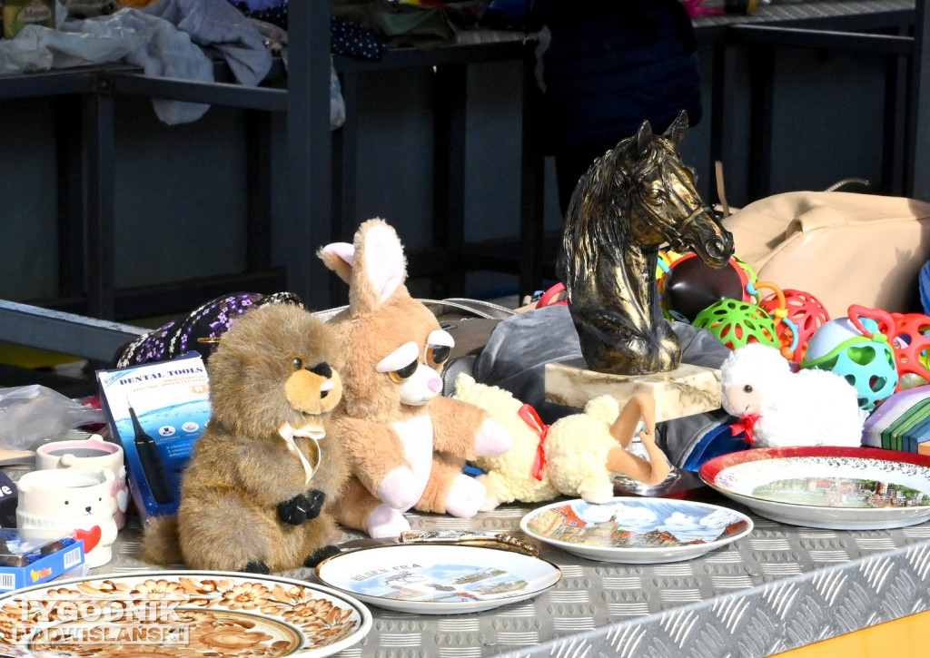 Kwietniowy Pchli Targ w Tarnobrzegu