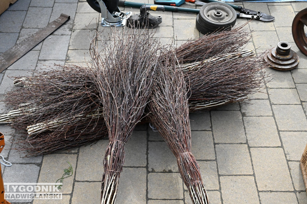 Kwietniowy Pchli Targ w Tarnobrzegu